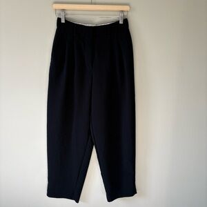 Aritzia Trousers with Pleats